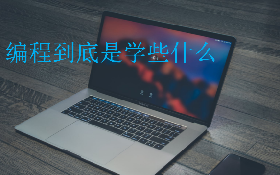 編程到底是學(xué)些什么