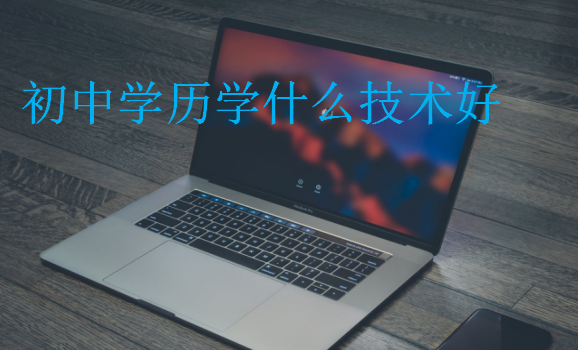 初中學(xué)歷學(xué)什么技術(shù)好