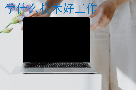 學(xué)什么技術(shù)好工作