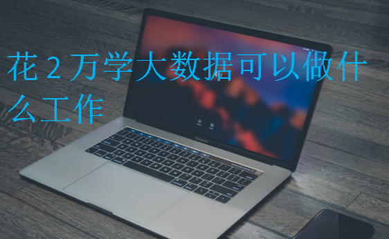 花2萬(wàn)學(xué)大數(shù)據(jù)可以做什么工作