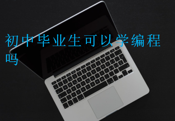 初中畢業(yè)生可以學(xué)編程嗎