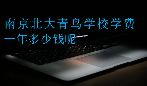 南京北大青鳥學(xué)校學(xué)費(fèi)一年多少錢呢