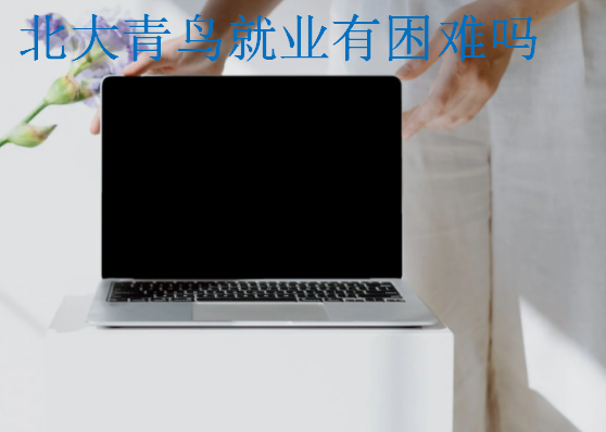 北大青鳥就業(yè)有困難嗎