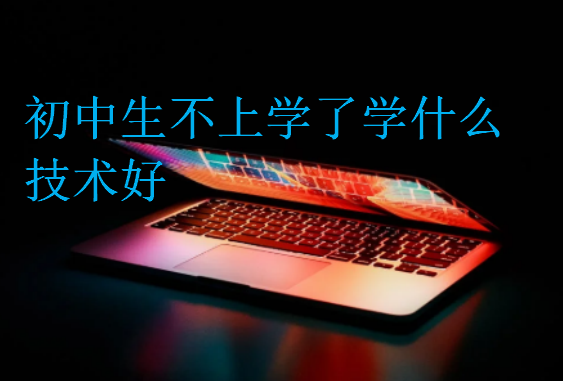 初中生不上學(xué)了學(xué)什么技術(shù)好