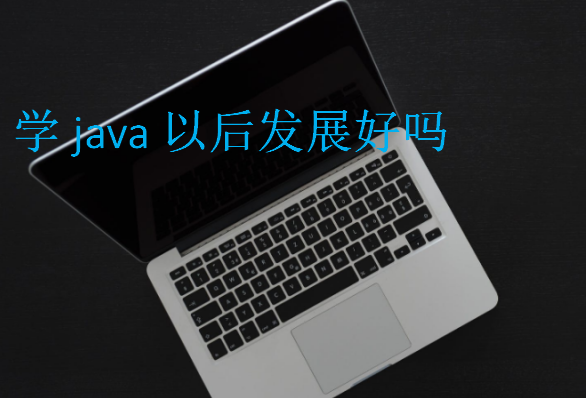 學java以后發(fā)展好嗎