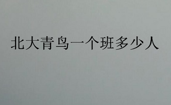 北大青鳥一個班多少人