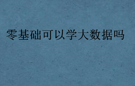 零基礎(chǔ)可以學(xué)大數(shù)據(jù)嗎