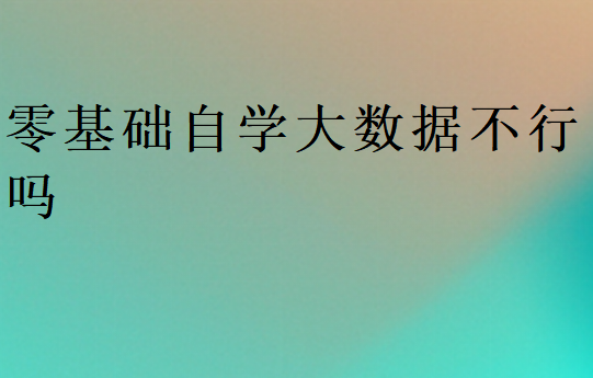 零基礎(chǔ)自學(xué)大數(shù)據(jù)不行嗎