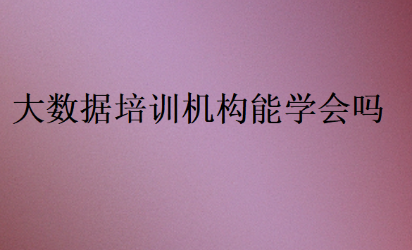 大數(shù)據(jù)培訓機構(gòu)能學會嗎