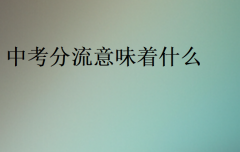 中考分流意味著什么(中考分流能上什么學(xué)校)
